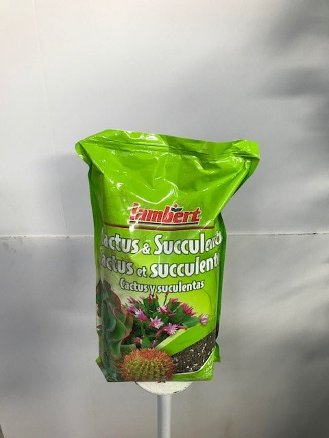 Melange de terre pour Cactus & Succulent