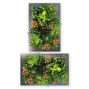 Cadre d'accentuation - Article en commande spéciale - Contactez-nous pour le prix.