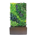 Armoire murale intelligente - Commande spéciale - Contactez nous pour les prix