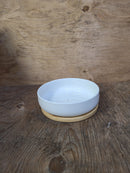 Modern Ceramic Succulent Cactus planter pot